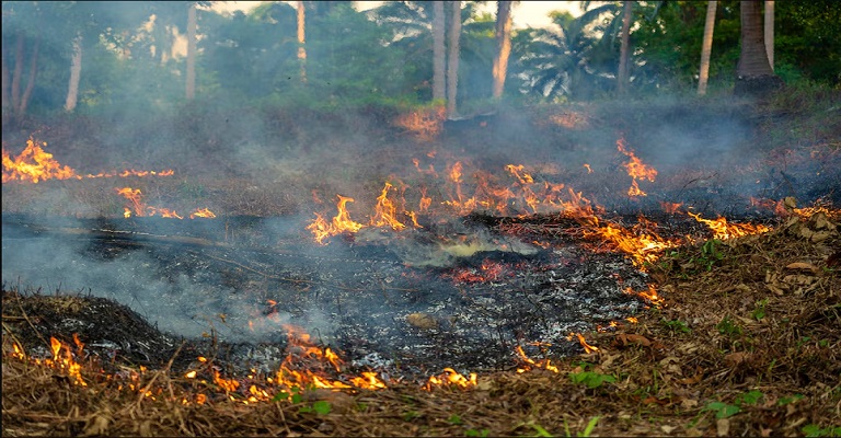 Mudança do clima: o mundo precisa agir agora