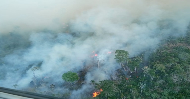 A agropecuária e a devastação ambiental no Brasil: uma crise silenciosa