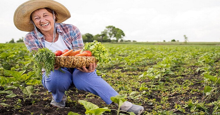 O produtor rural e os novos impostos