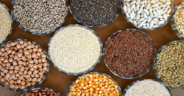 8 alimentos ricos em fibras e antioxidantes para adicionar na sua dieta