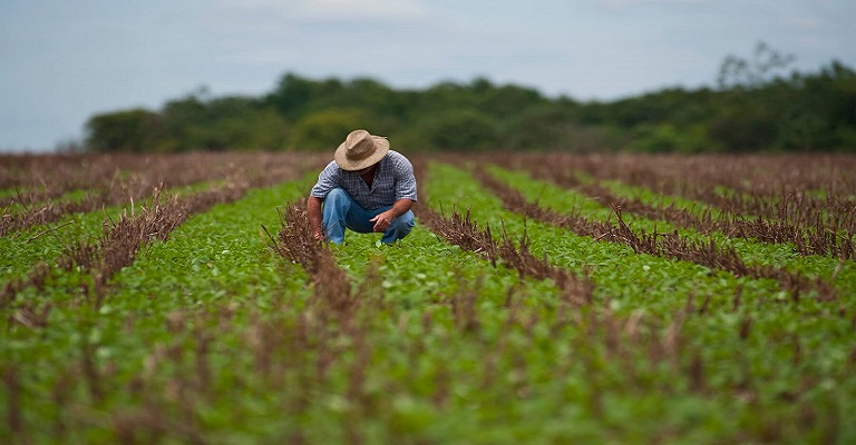 Estudante cria sistema de monitoramento climático para o agro