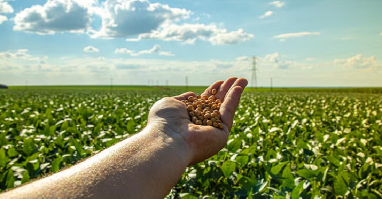 Tarifaço de Trump e a janela para o agro brasileiro