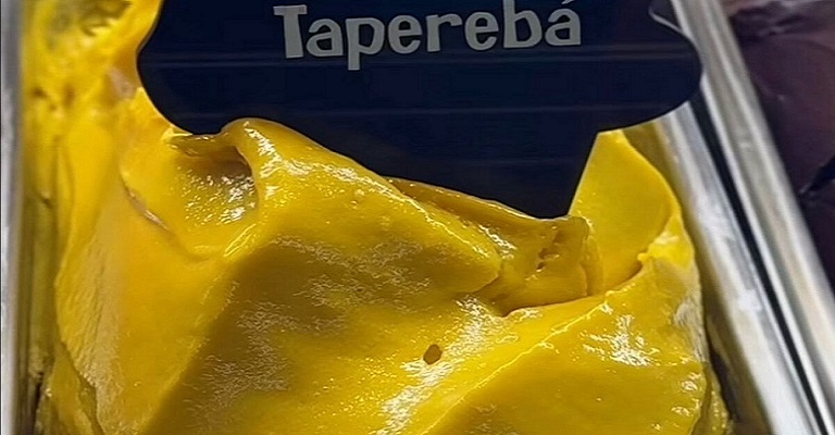 7 ingredientes amazônicos que se tornaram sorvetes