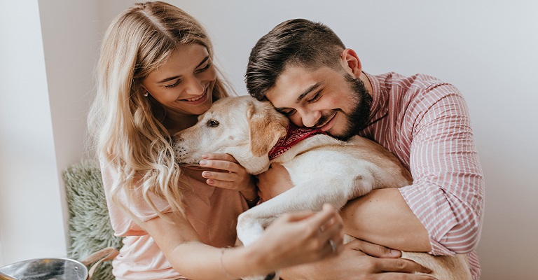 Pets: amor, companhia e responsabilidade diária