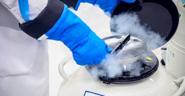 Congelar óvulos e embriões: o que muda e como funciona