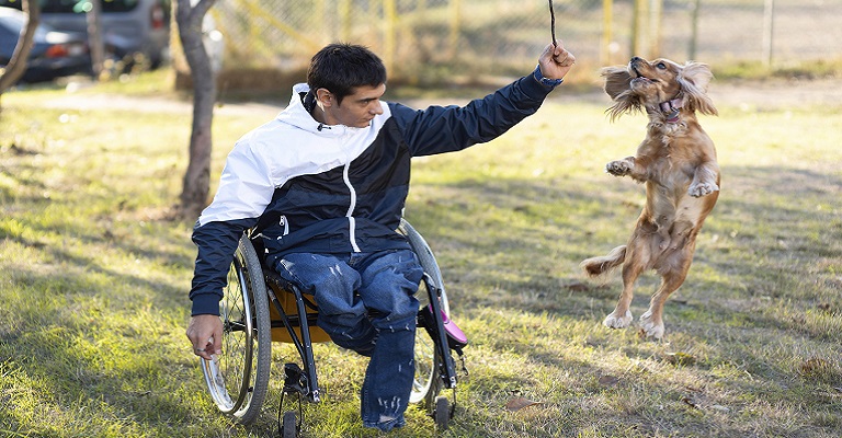 Animais ajudam na reabilitação de pessoas