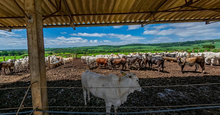 Escola Técnica abre vagas para agropecuária