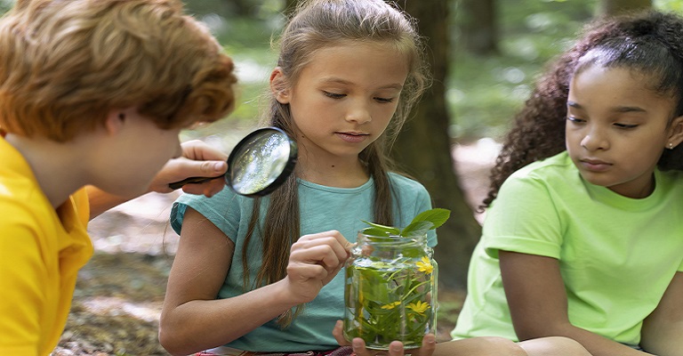 Aprendizagem aliada ao desenvolvimento sustentável