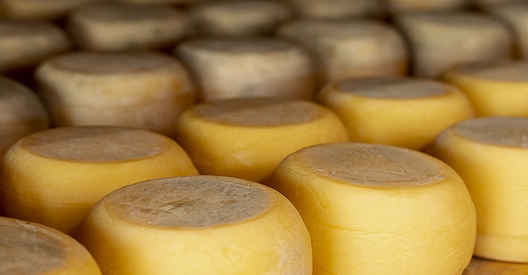 Queijaria no Serro ganha certificação e mercado