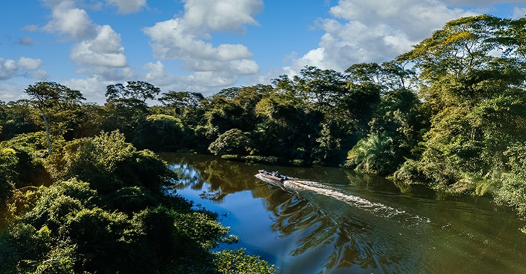 Desenvolvimento da Amazônia passa por empresas