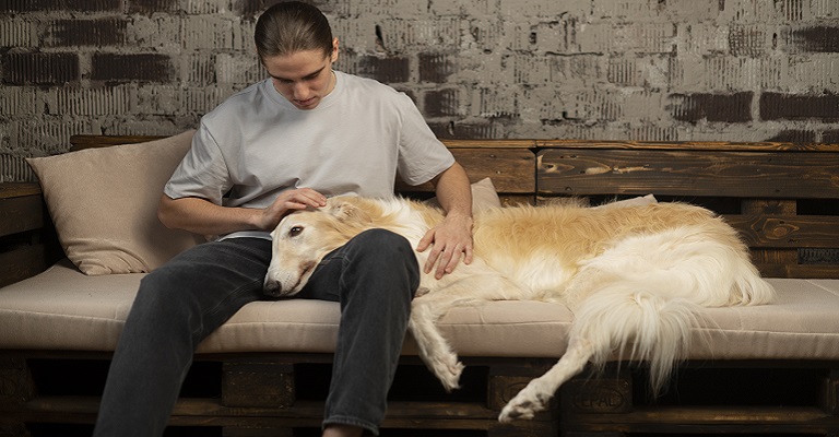 O sentimento que a morte produz nos tutores de animais