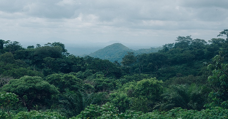 Crescimento sustentável da Amazônia requer responsabilidade do setor privado
