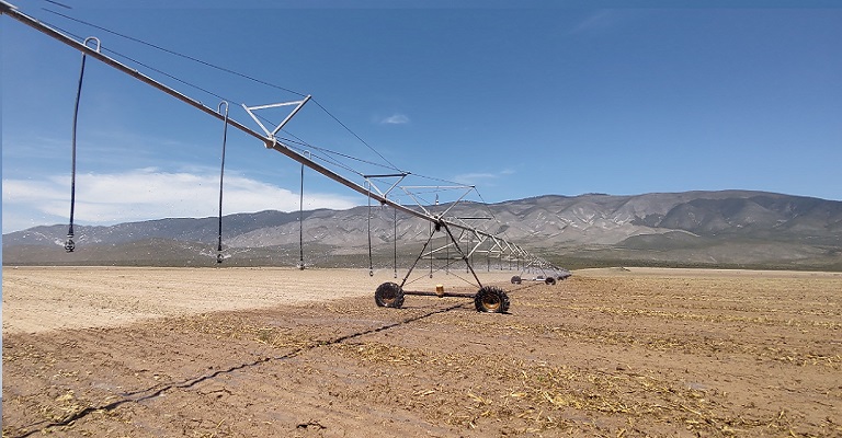 A água como o vetor da ação climática mundial