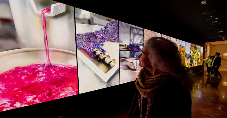 Vindimas em Portugal: tudo o que você precisa saber sobre a festa da colheita da uva