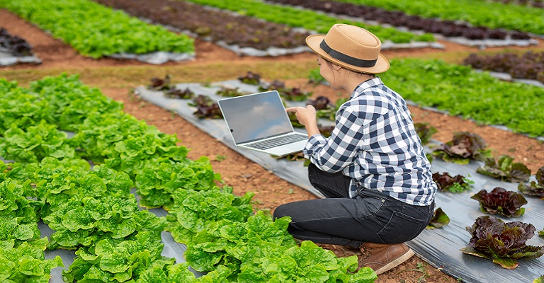O agronegócio sob fogo cruzado
