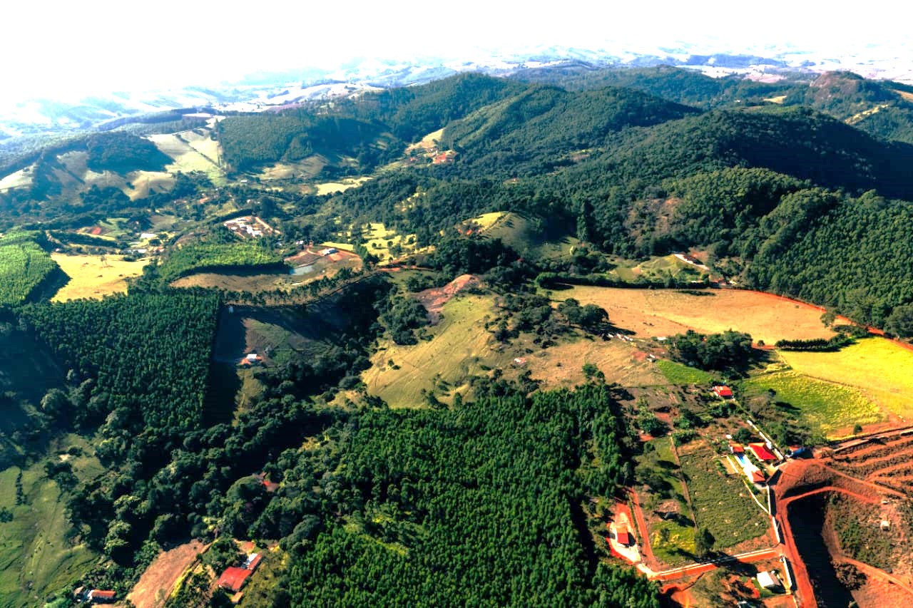 Os benefícios de se afastar das telas para se reconectar com o presente