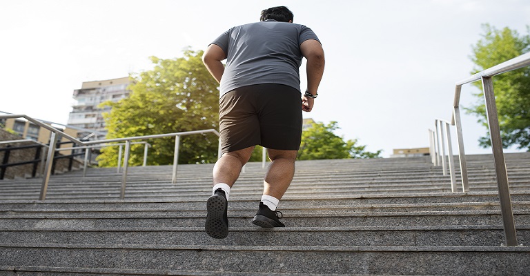Pós-graduação reforça visão integrada contra a obesidade