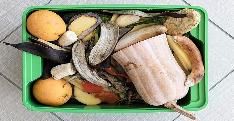 Como reduzir o desperdício de alimentos no Brasil